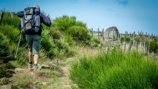 A Beginner's Guide to Hiking in Australia